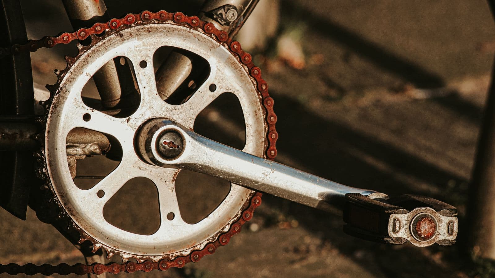 Gros plan sur une chaîne et un plateau de vélo